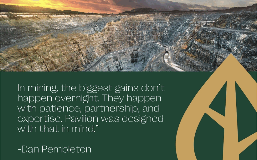 Purpose by Design: Why Pavilion’s “5 + 1 + 1” Structure Is Built for Long-Term Resource Investing